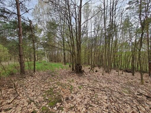 WEŁMIN - DZIAŁKA POD BUDOWĘ DOMU 5100 m2