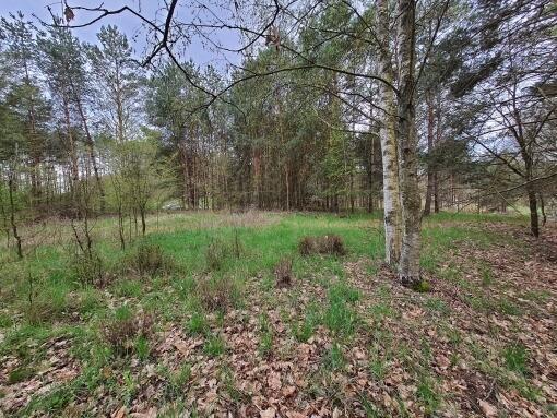 WEŁMIN - DZIAŁKA POD BUDOWĘ DOMU 5100 m2