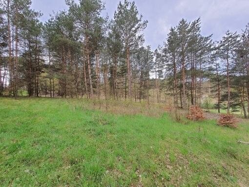 WEŁMIN - DZIAŁKA POD BUDOWĘ DOMU 5100 m2