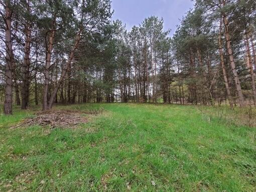 WEŁMIN - DZIAŁKA POD BUDOWĘ DOMU 5100 m2