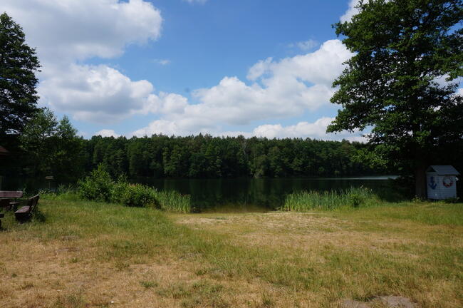 Działka nad jeziorem