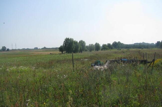 Działki budowlane w Myśliborzu