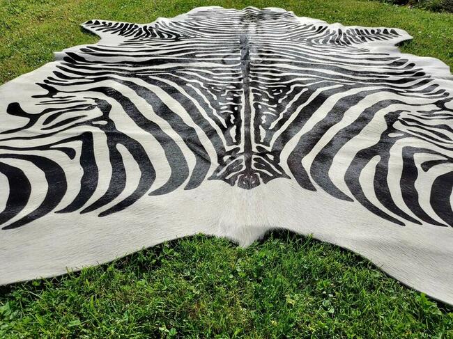 Skóra z Zebry Skóra Naturalna Zebra Skóra Bydlęca Wzór Zebry