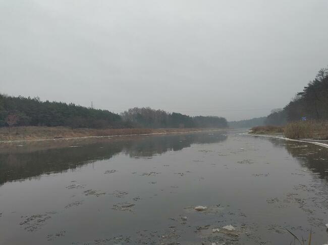 Szukam księżniczki