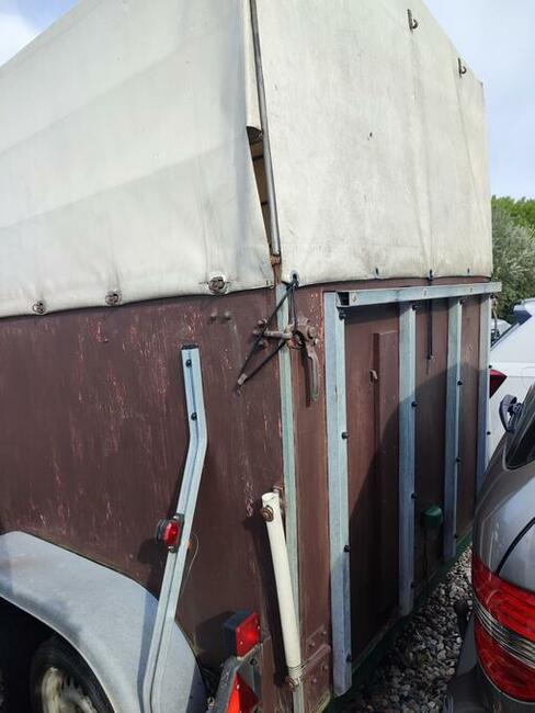 Sprzeda ładną przyczepę do koni