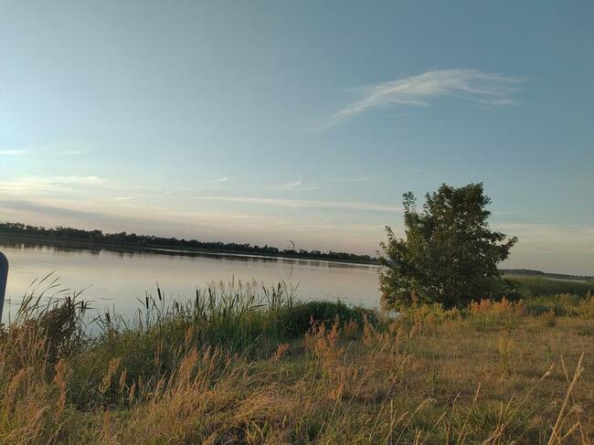 Szukam księżniczki