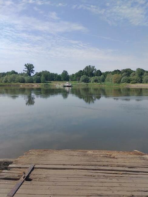 Szukam księżniczki