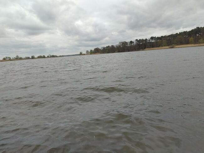 Szukam księżniczki