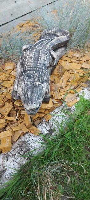 krokodyl ogrodowy figurka do ogrodu