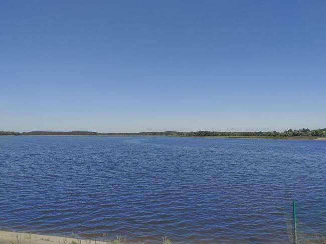 Szukam księżniczki