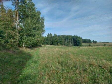 Malowanicza działka Mazury KW nieopodal jeziora