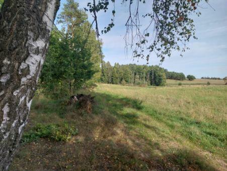 Malowanicza działka Mazury KW nieopodal jeziora