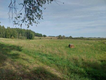Działka na Mazurach warunkami zabudowy KW nieopodal jeziora