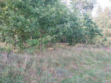 Działka na Mazurach warunkami zabudowy KW nieopodal jeziora