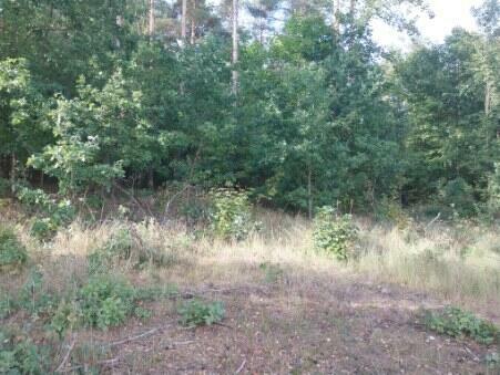 Działka na Mazurach warunkami zabudowy KW nieopodal jeziora