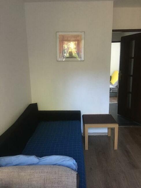 pokój na wynajem ładny, jasny, przestronny.