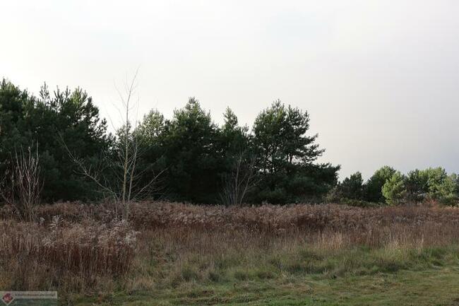 Działka budowlana Grzędzice gm. Stargard