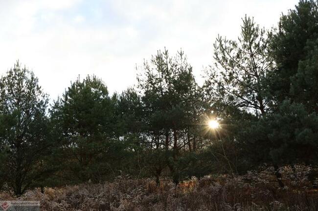 Działka budowlana Grzędzice gm. Stargard