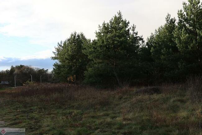 Działka budowlana Grzędzice gm. Stargard