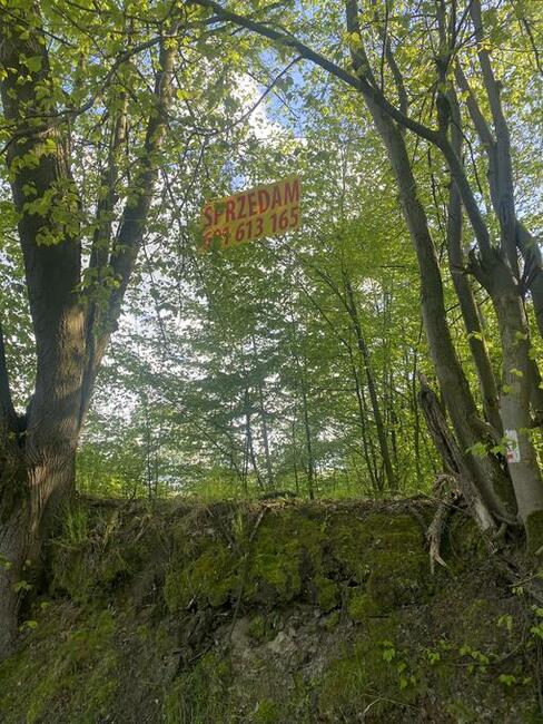 Bochotnica Kazimierz Dolny