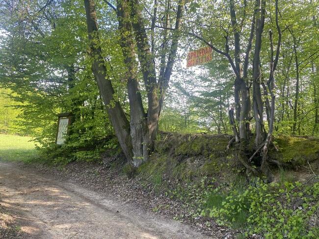 Bochotnica Kazimierz Dolny