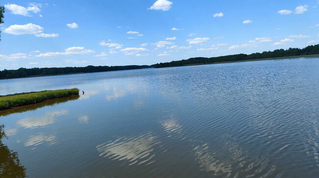 Działka Białasy gm. Szczutowo pow. sierpecki wz. mazowieckie