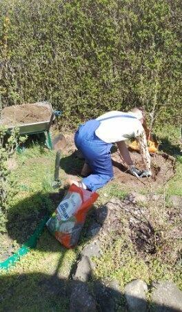 MALOWANIE MIESZKAŃ, DOMÓW - TAPETOWANIE , PRACE OGRODOWE