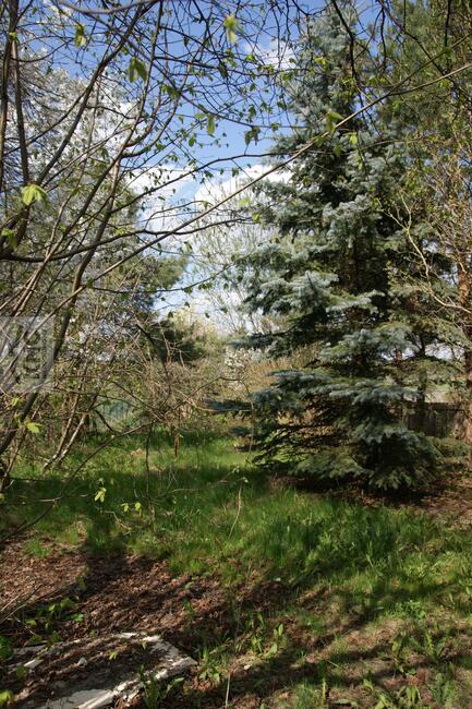 Dom Wola Niemiecka gm. Niemce