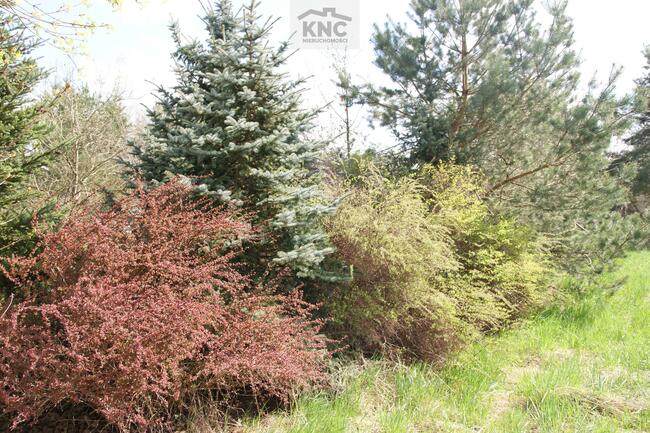 Dom Wola Niemiecka gm. Niemce