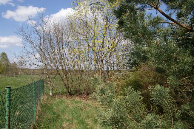 Dom Wola Niemiecka gm. Niemce