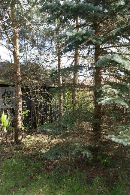 Dom Wola Niemiecka gm. Niemce