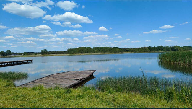 Działka Białasy gm. Szczutowo pow. sierpecki wz. mazowieckie