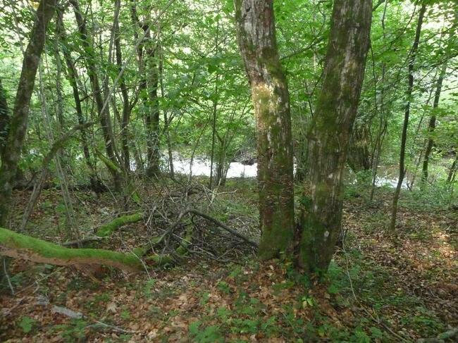 Działka rolna (do zalesienia) w Bezmiechowej Górnej