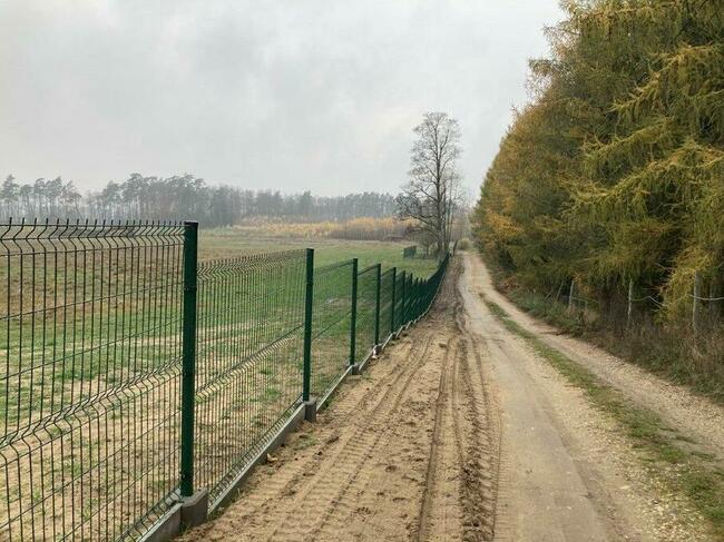 Dz. Budowlana na Mazurach (1888 m2) MEDIA (Jagodne Wielkie)