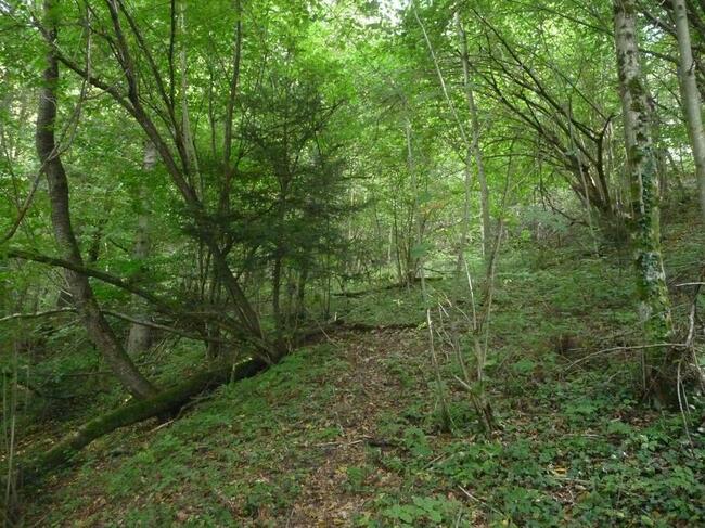 Działka rolna (do zalesienia) w Bezmiechowej Górnej