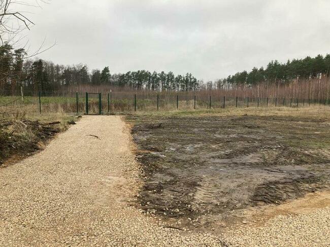 Dz. Budowlana na Mazurach (1888 m2) MEDIA (Jagodne Wielkie)