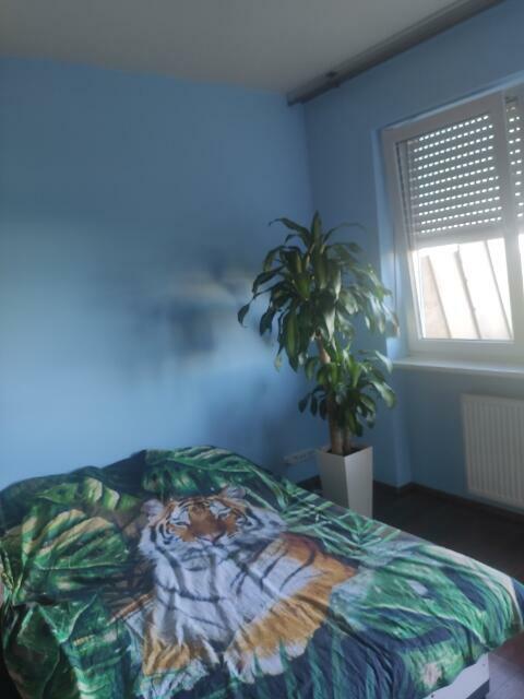 MALOWANIE MIESZKAŃ, DOMÓW - TAPETOWANIE , PRACE OGRODOWE