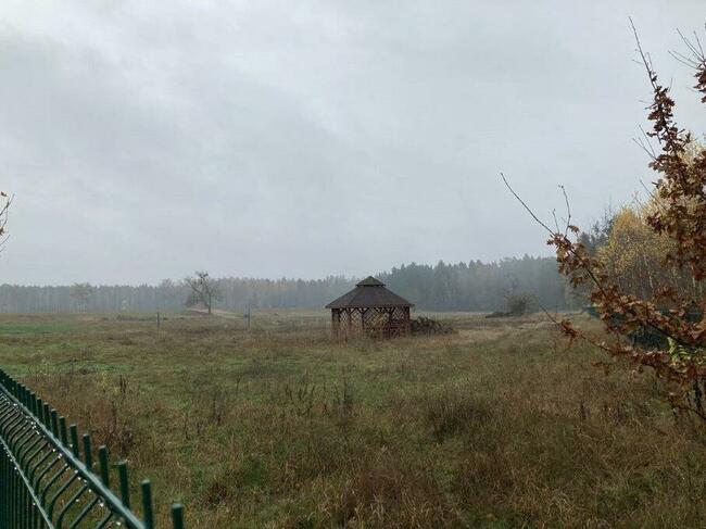 Dz. Budowlana na Mazurach (1888 m2) MEDIA (Jagodne Wielkie)