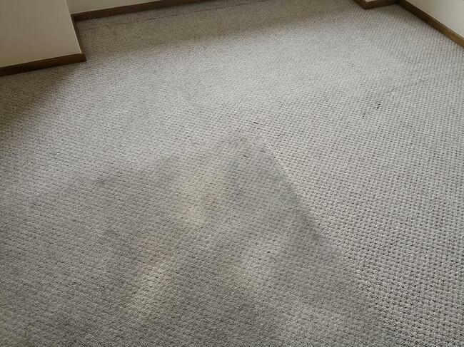 Karcher Kiekrz 661373424 pranie dywanów wykładzin tapicerk