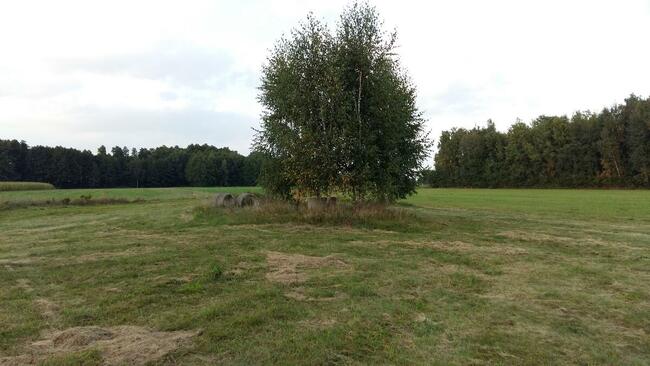 Sprzedam działkę rolno-budowlaną