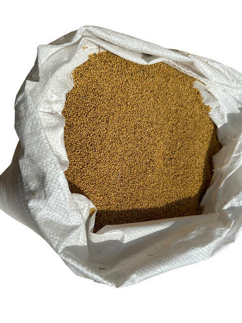 Gorczyca ziarno, nasiona