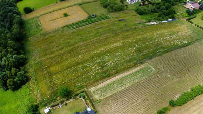 Działka BUDOWLANO-ROLNA SKOŁYSZYN 36 ar / 3674 m2 przy DK28