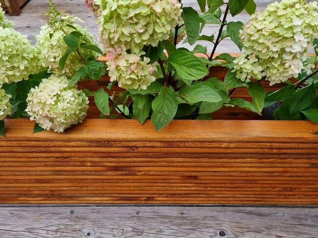 Ławka masywna, siedzisko drewniane ogrodowe 3D