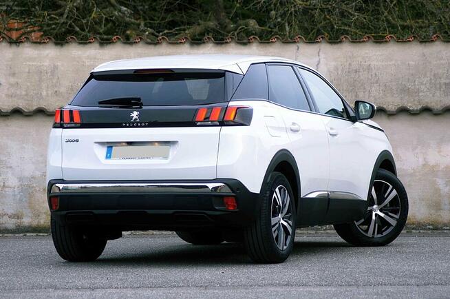 wynajem aut osobowych i dostawczych