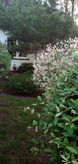Sprzedam Dom nad jeziorem.