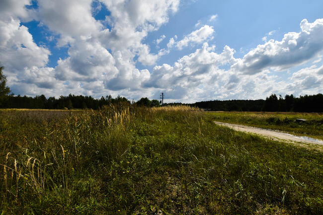 Działka 480ar - Budy Głogowskie