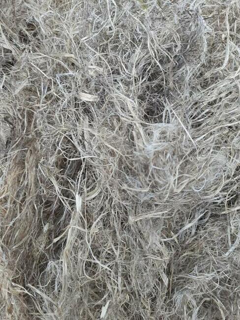 Włókno konopne do mszenia belka 30Kg