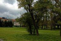 Sprzedam działkę komercyjną!