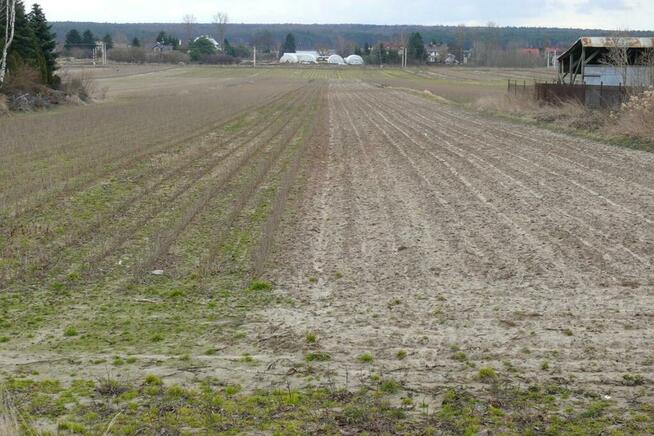 Działki w doskonałej lokalizacji-5 min. od Zalewu