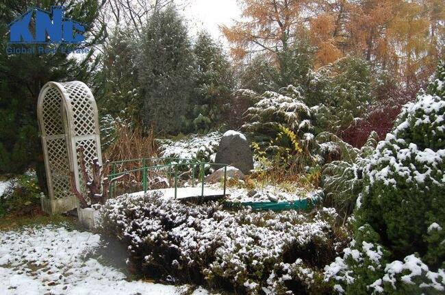 Dom jednorodzinny wolnostojący